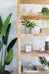 Palms Bookshelf - Modern Boho Interiors