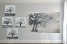 Load image into Gallery viewer, Seasons Glass Wall Art (set of 4) - Modern Boho Interiors